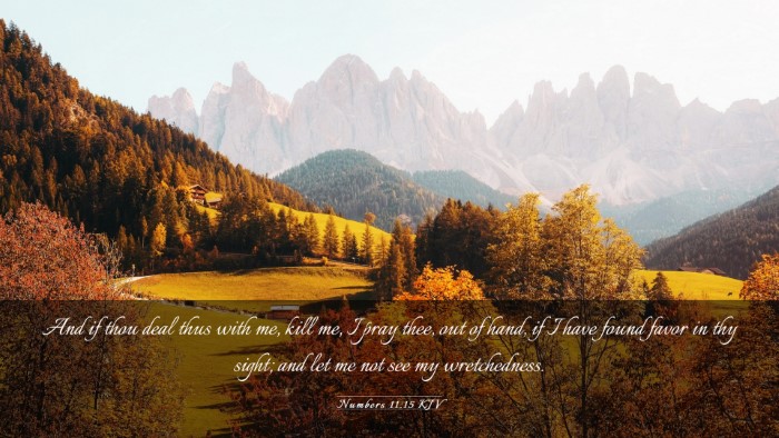 Picture 03 - Numbers 11:15 KJV Desktop Wallpaper - And if thou deal thus with me, kill me, I pray - Desktop Bible Verse Wallpaper