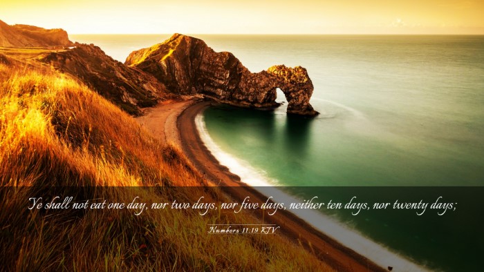 Picture 03 - Numbers 11:19 KJV Desktop Wallpaper - Ye shall not eat one day, nor two days, nor five - Desktop Bible Verse Wallpaper