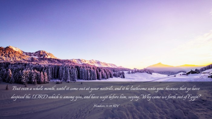 Picture 03 - Numbers 11:20 KJV Desktop Wallpaper - But even a whole month, until it come out at your - Desktop Bible Verse Wallpaper