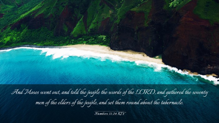 Picture 03 - Numbers 11:24 KJV Desktop Wallpaper - And Moses went out, and told the people the words - Desktop Bible Verse Wallpaper
