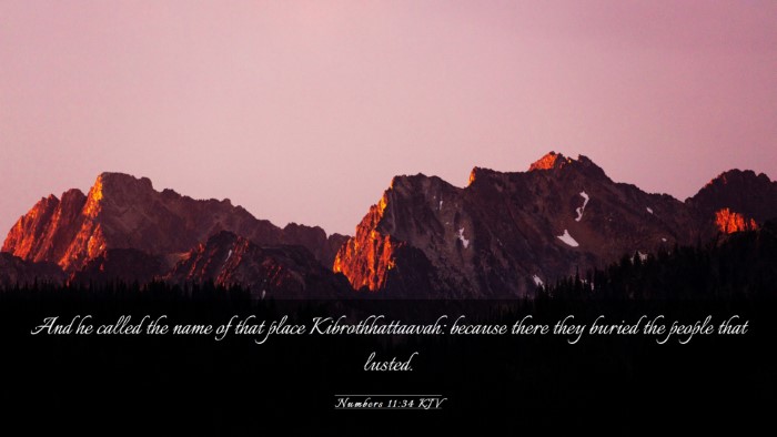 Picture 03 - Numbers 11:34 KJV Desktop Wallpaper - And he called the name of that place - Desktop Bible Verse Wallpaper