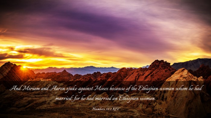 Picture 03 - Numbers 12:1 KJV Desktop Wallpaper - And Miriam and Aaron spake against Moses because - Desktop Bible Verse Wallpaper