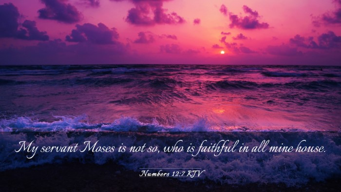 Picture 03 - Numbers 12:7 KJV Desktop Wallpaper - My servant Moses is not so, who is faithful in - Desktop Bible Verse Wallpaper