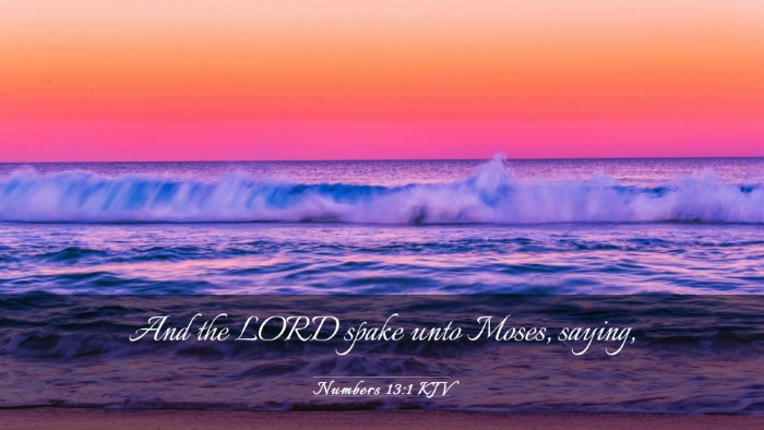 Picture 03 - Numbers 13:1 KJV Desktop Wallpaper - And the LORD spake unto Moses, - Desktop Bible Verse Wallpaper
