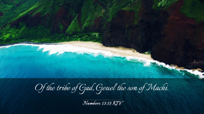Picture 03 - Numbers 13:15 KJV Desktop Wallpaper - Of the tribe of Gad, Geuel the son of - Desktop Bible Verse Wallpaper