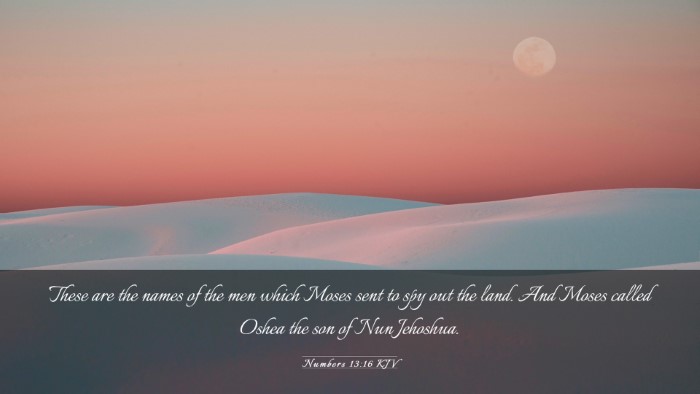 Picture 03 - Numbers 13:16 KJV Desktop Wallpaper - These are the names of the men which Moses sent - Desktop Bible Verse Wallpaper