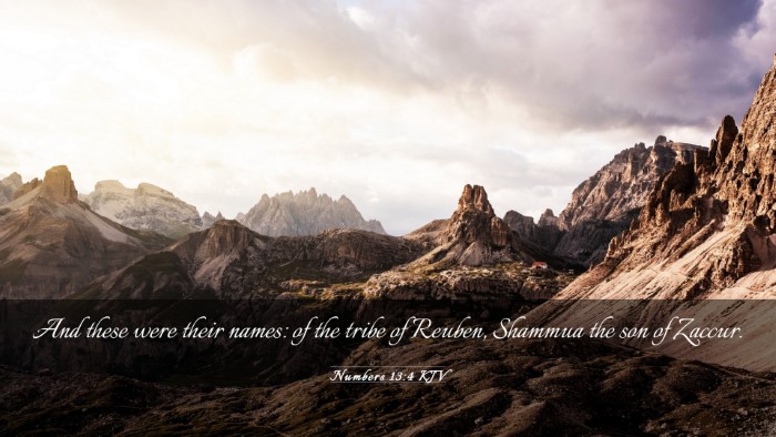 Picture 03 - Numbers 13:4 KJV Desktop Wallpaper - And these were their names: of the tribe of - Desktop Bible Verse Wallpaper