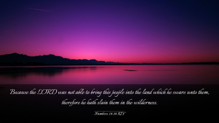 Picture 03 - Numbers 14:16 KJV Desktop Wallpaper - Because the LORD was not able to bring this - Desktop Bible Verse Wallpaper