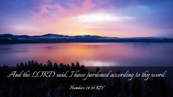 Picture 03 - Numbers 14:20 KJV Desktop Wallpaper - And the LORD said, I have pardoned according to - Desktop Bible Verse Wallpaper