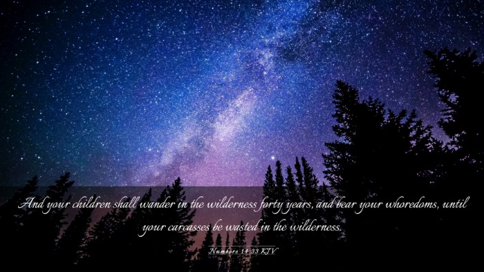 Picture 03 - Numbers 14:33 KJV Desktop Wallpaper - And your children shall wander in the wilderness - Desktop Bible Verse Wallpaper