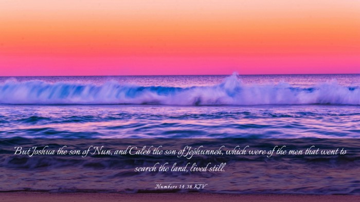 Picture 03 - Numbers 14:38 KJV Desktop Wallpaper - But Joshua the son of Nun, and Caleb the son of - Desktop Bible Verse Wallpaper