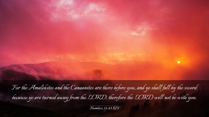 Picture 03 - Numbers 14:43 KJV Desktop Wallpaper - For the Amalekites and the Canaanites are there - Desktop Bible Verse Wallpaper