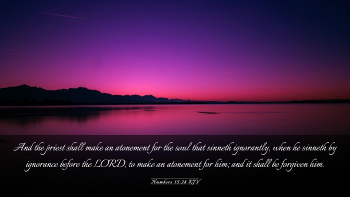 Picture 03 - Numbers 15:28 KJV Desktop Wallpaper - And the priest shall make an atonement for the - Desktop Bible Verse Wallpaper