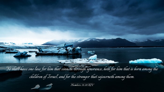 Picture 03 - Numbers 15:29 KJV Desktop Wallpaper - Ye shall have one law for him that sinneth - Desktop Bible Verse Wallpaper