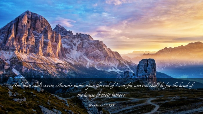 Picture 03 - Numbers 17:3 KJV Desktop Wallpaper - And thou shalt write Aaron's name upon the rod of - Desktop Bible Verse Wallpaper