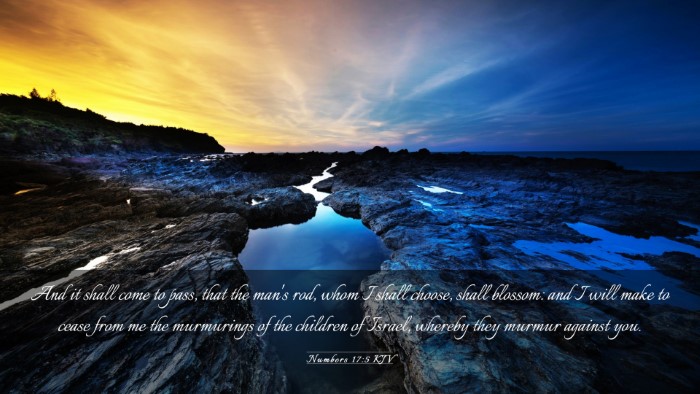 Picture 03 - Numbers 17:5 KJV Desktop Wallpaper - And it shall come to pass, that the man's rod, - Desktop Bible Verse Wallpaper