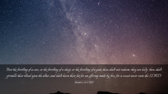 Picture 03 - Numbers 18:17 KJV Desktop Wallpaper - But the firstling of a cow, or the firstling of a - Desktop Bible Verse Wallpaper