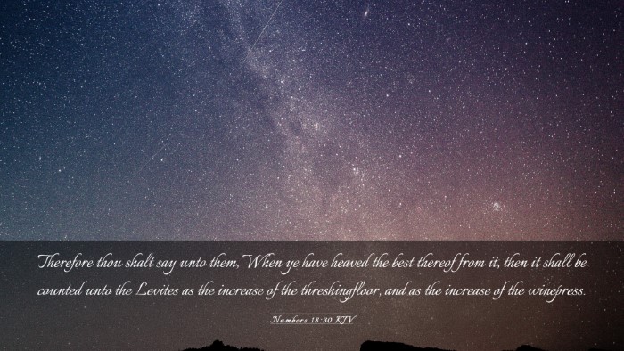 Picture 03 - Numbers 18:30 KJV Desktop Wallpaper - Therefore thou shalt say unto them, When ye have - Desktop Bible Verse Wallpaper