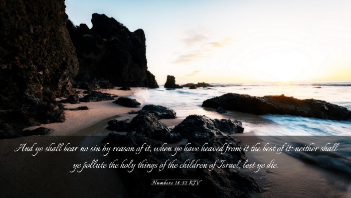 Picture 03 - Numbers 18:32 KJV Desktop Wallpaper - And ye shall bear no sin by reason of it, when ye - Desktop Bible Verse Wallpaper