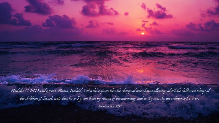 Picture 03 - Numbers 18:8 KJV Desktop Wallpaper - And the LORD spake unto Aaron, Behold, I also - Desktop Bible Verse Wallpaper