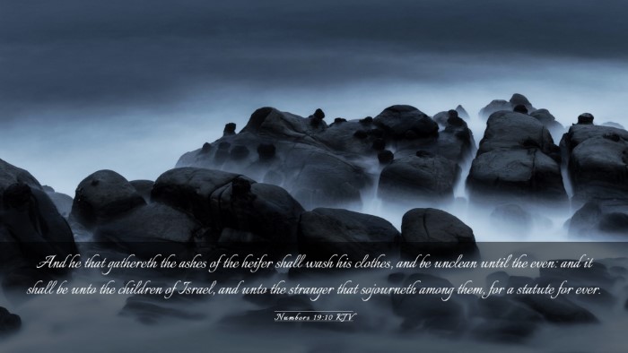 Picture 03 - Numbers 19:10 KJV Desktop Wallpaper - And he that gathereth the ashes of the heifer - Desktop Bible Verse Wallpaper