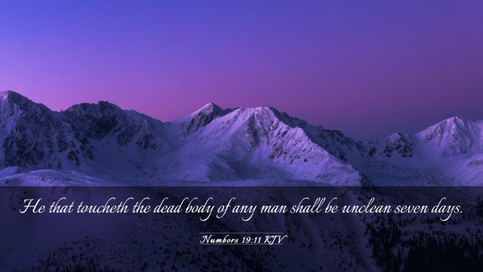 Picture 03 - Numbers 19:11 KJV Desktop Wallpaper - He that toucheth the dead body of any man shall - Desktop Bible Verse Wallpaper