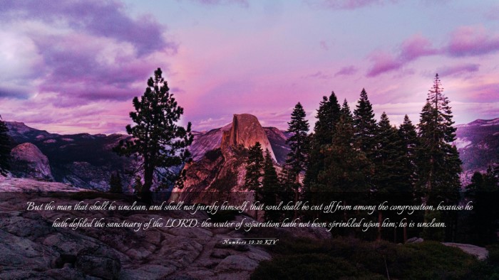 Picture 03 - Numbers 19:20 KJV Desktop Wallpaper - But the man that shall be unclean, and shall not - Desktop Bible Verse Wallpaper