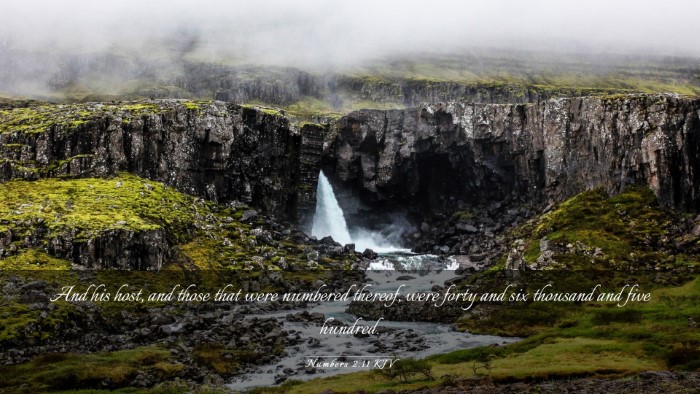 Picture 03 - Numbers 2:11 KJV Desktop Wallpaper - And his host, and those that were numbered - Desktop Bible Verse Wallpaper