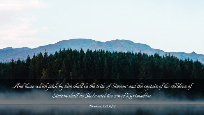 Picture 03 - Numbers 2:12 KJV Desktop Wallpaper - And those which pitch by him shall be the tribe - Desktop Bible Verse Wallpaper