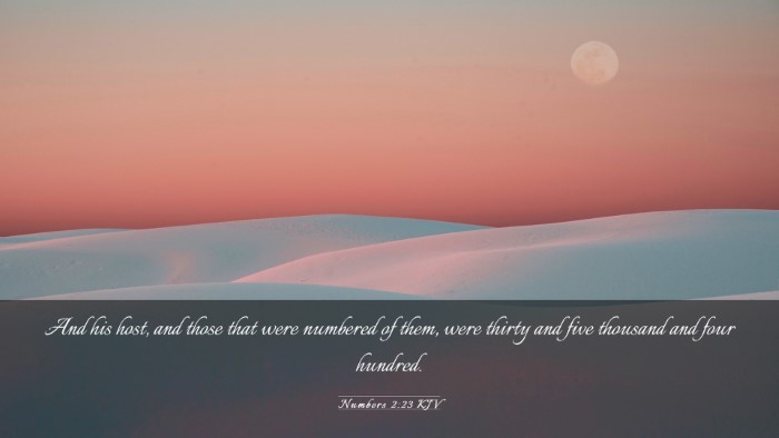 Picture 03 - Numbers 2:23 KJV Desktop Wallpaper - And his host, and those that were numbered of - Desktop Bible Verse Wallpaper