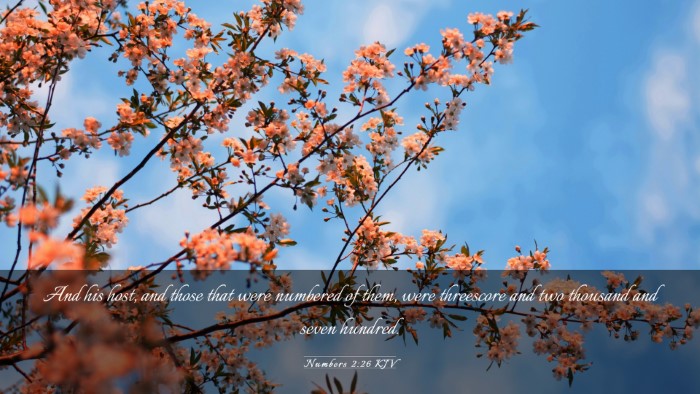 Picture 03 - Numbers 2:26 KJV Desktop Wallpaper - And his host, and those that were numbered of - Desktop Bible Verse Wallpaper