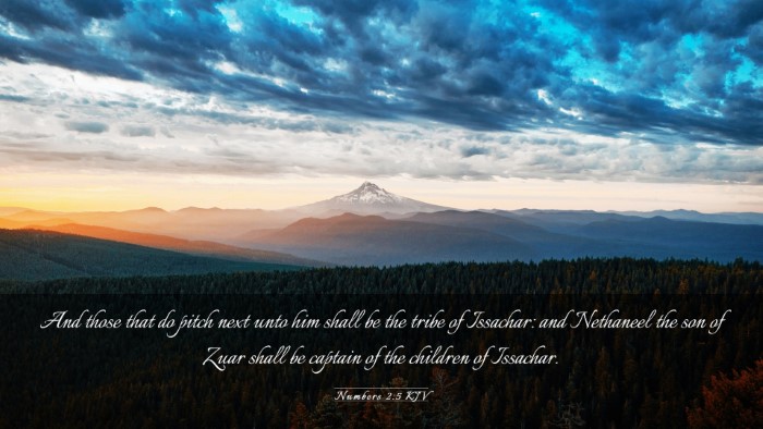 Picture 03 - Numbers 2:5 KJV Desktop Wallpaper - And those that do pitch next unto him shall be - Desktop Bible Verse Wallpaper