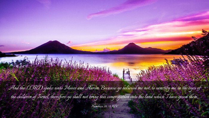 Picture 03 - Numbers 20:12 KJV Desktop Wallpaper - And the LORD spake unto Moses and Aaron, Because - Desktop Bible Verse Wallpaper