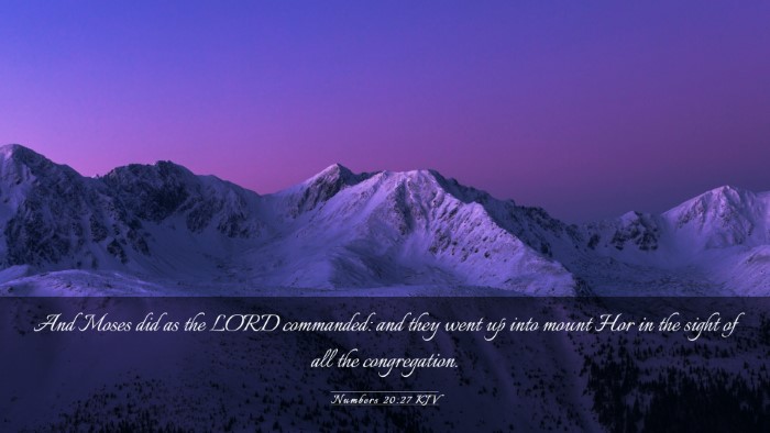 Picture 03 - Numbers 20:27 KJV Desktop Wallpaper - And Moses did as the LORD commanded: and they - Desktop Bible Verse Wallpaper