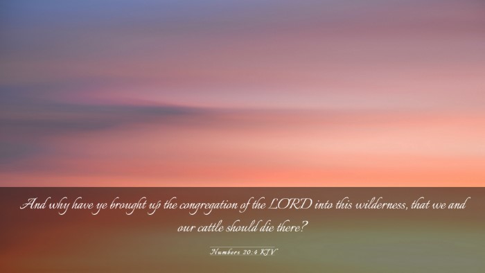 Picture 03 - Numbers 20:4 KJV Desktop Wallpaper - And why have ye brought up the congregation of - Desktop Bible Verse Wallpaper