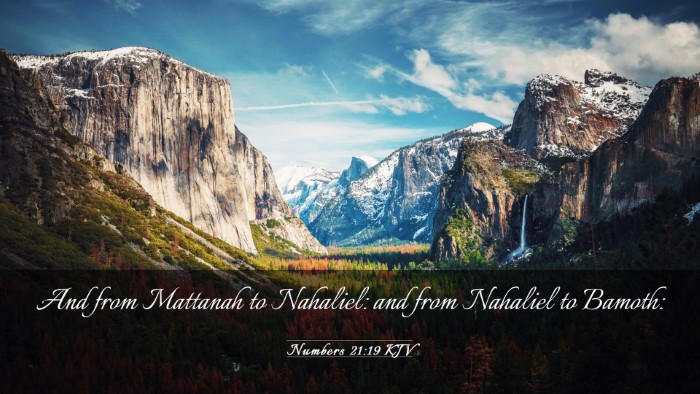 Picture 03 - Numbers 21:19 KJV Desktop Wallpaper - And from Mattanah to Nahaliel: and from Nahaliel - Desktop Bible Verse Wallpaper