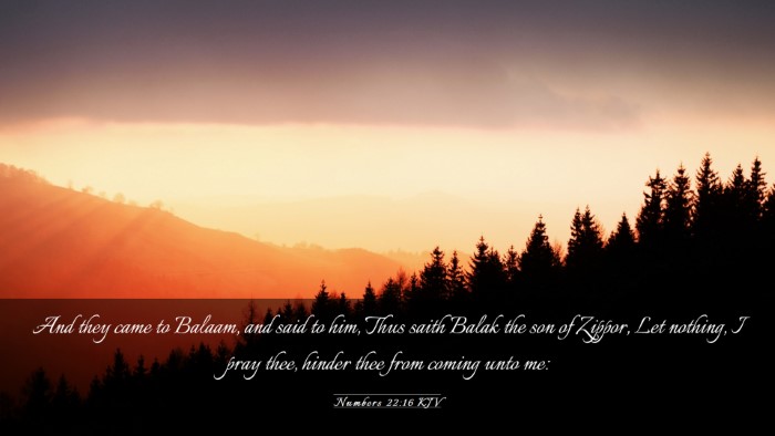 Picture 03 - Numbers 22:16 KJV Desktop Wallpaper - And they came to Balaam, and said to him, Thus - Desktop Bible Verse Wallpaper