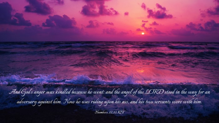 Picture 03 - Numbers 22:22 KJV Desktop Wallpaper - And God's anger was kindled because he went: and - Desktop Bible Verse Wallpaper