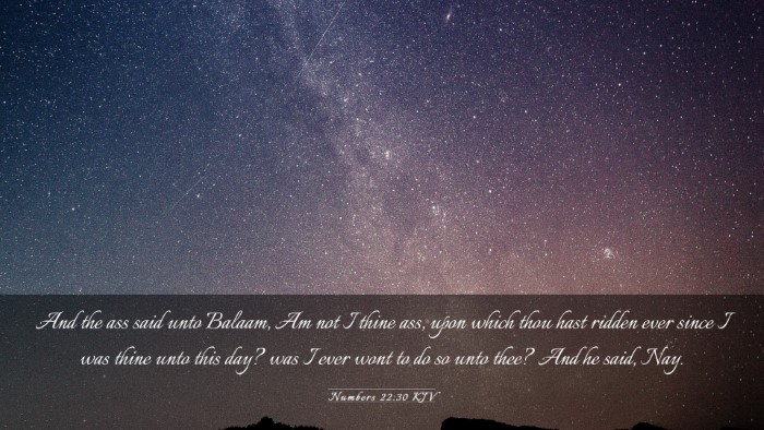 Picture 03 - Numbers 22:30 KJV Desktop Wallpaper - And the ass said unto Balaam, Am not I thine ass, - Desktop Bible Verse Wallpaper