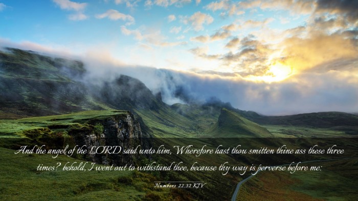 Picture 03 - Numbers 22:32 KJV Desktop Wallpaper - And the angel of the LORD said unto him, - Desktop Bible Verse Wallpaper