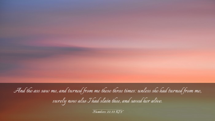 Picture 03 - Numbers 22:33 KJV Desktop Wallpaper - And the ass saw me, and turned from me these - Desktop Bible Verse Wallpaper