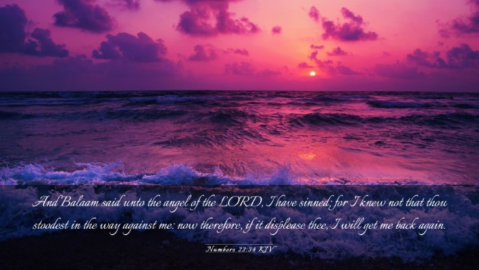 Picture 03 - Numbers 22:34 KJV Desktop Wallpaper - And Balaam said unto the angel of the LORD, I - Desktop Bible Verse Wallpaper