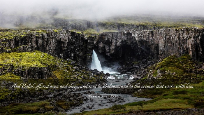 Picture 03 - Numbers 22:40 KJV Desktop Wallpaper - And Balak offered oxen and sheep, and sent to - Desktop Bible Verse Wallpaper
