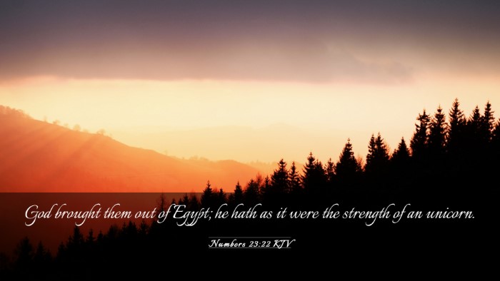 Picture 03 - Numbers 23:22 KJV Desktop Wallpaper - God brought them out of Egypt; he hath as it were - Desktop Bible Verse Wallpaper
