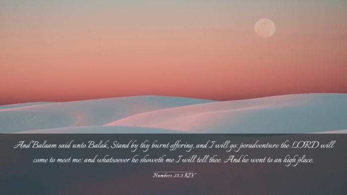 Picture 03 - Numbers 23:3 KJV Desktop Wallpaper - And Balaam said unto Balak, Stand by thy burnt - Desktop Bible Verse Wallpaper