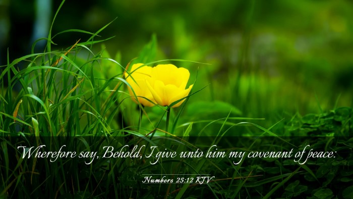 Picture 03 - Numbers 25:12 KJV Desktop Wallpaper - Wherefore say, Behold, I give unto him my - Desktop Bible Verse Wallpaper