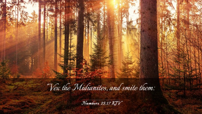 Picture 03 - Numbers 25:17 KJV Desktop Wallpaper - Vex the Midianites, and smite - Desktop Bible Verse Wallpaper