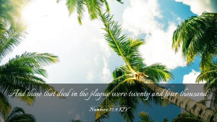 Picture 03 - Numbers 25:9 KJV Desktop Wallpaper - And those that died in the plague were twenty and - Desktop Bible Verse Wallpaper