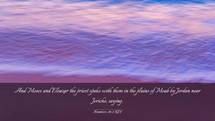 Picture 03 - Numbers 26:3 KJV Desktop Wallpaper - And Moses and Eleazar the priest spake with them - Desktop Bible Verse Wallpaper