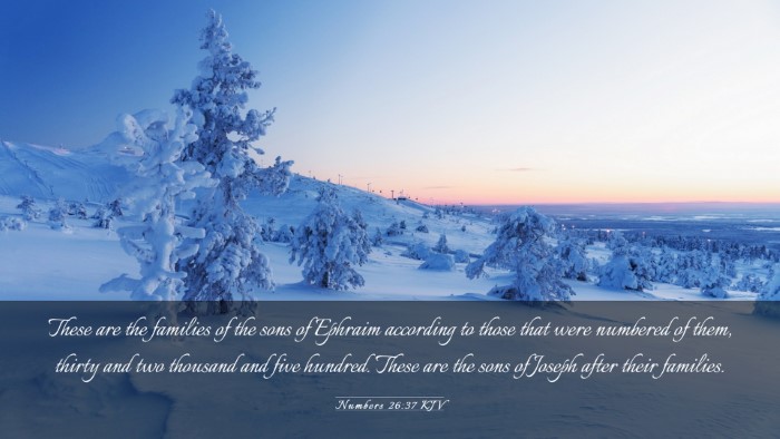 Picture 03 - Numbers 26:37 KJV Desktop Wallpaper - These are the families of the sons of Ephraim - Desktop Bible Verse Wallpaper
